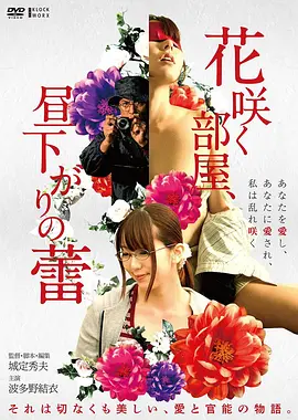 冒险西部电影荒原信使手机免费在线观看